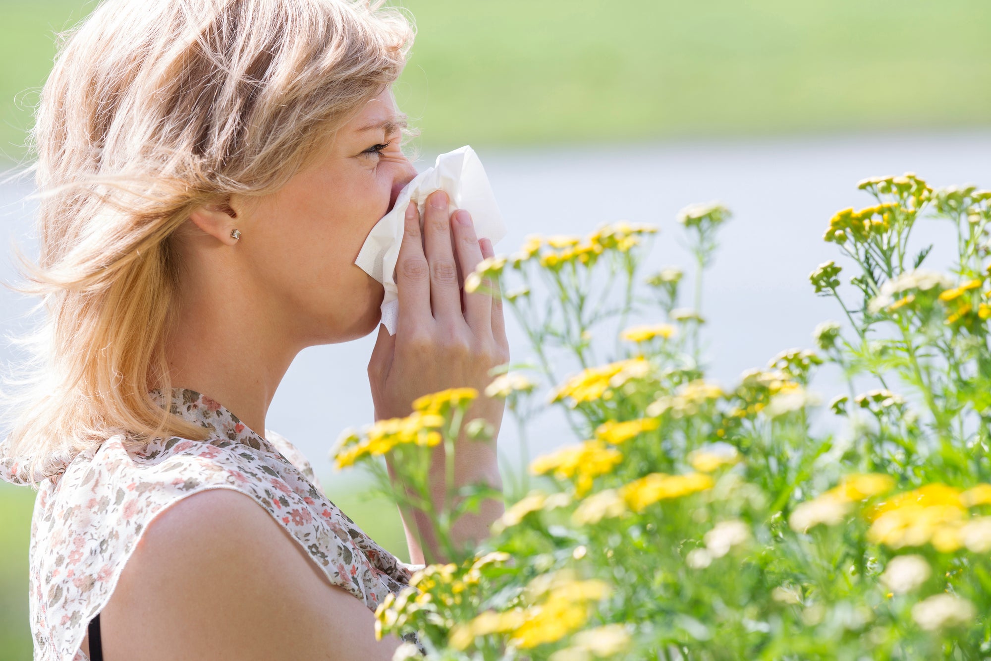 Allergies and Your Gut More and more studies are showing distinct ...