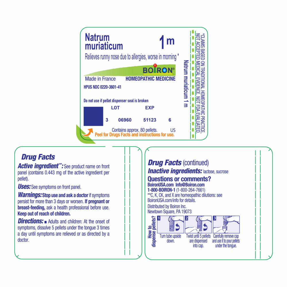 Natrum Muriaticum - 1 m