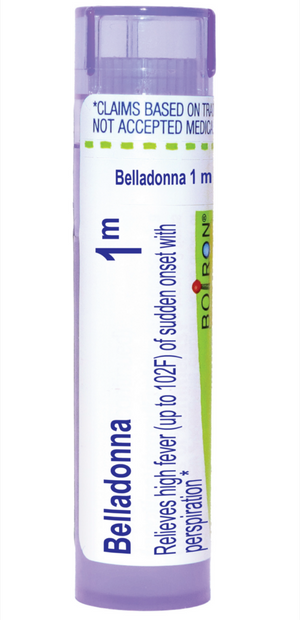 Belladonna 1 m - 80 pellets