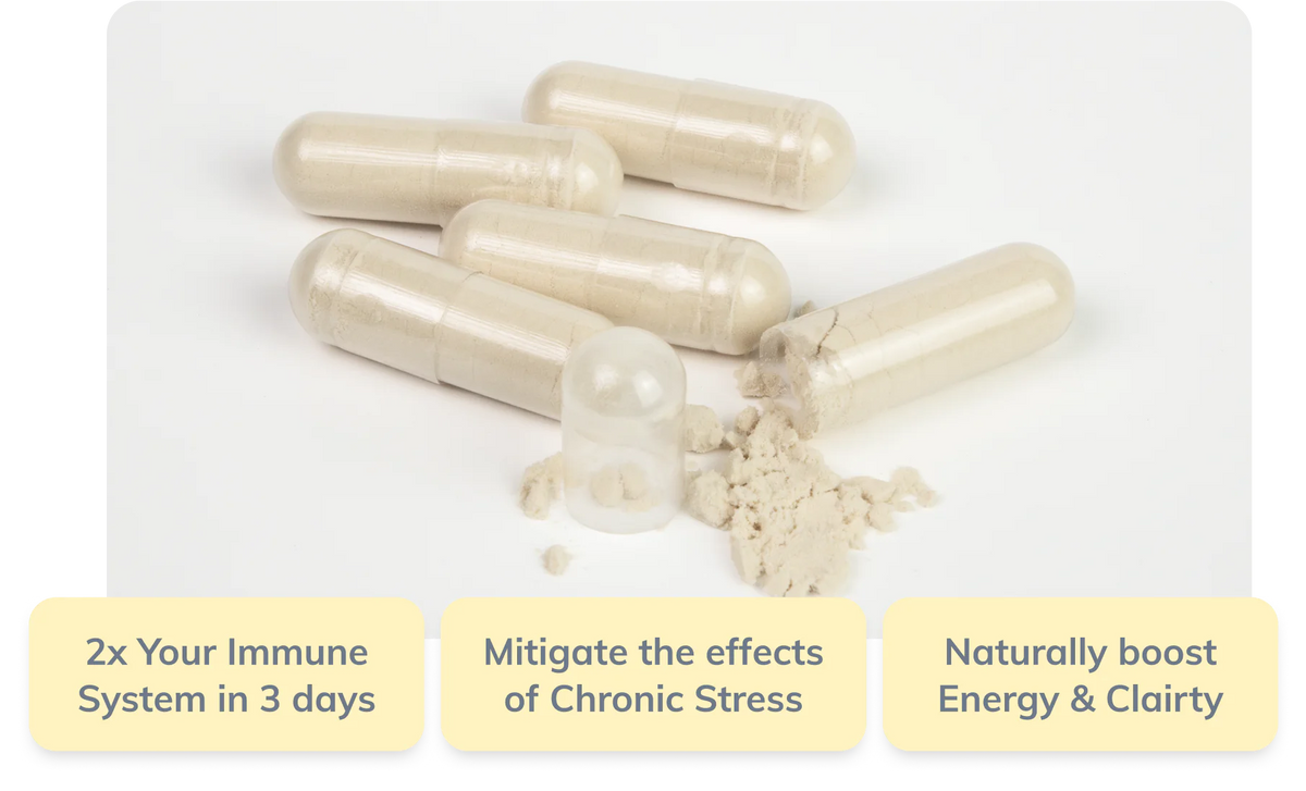 Beta Glucan 100 mg - 60 caps